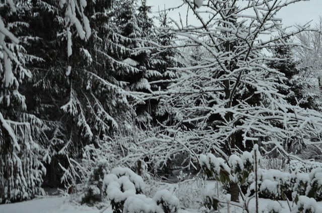 2012-12-02-08-40-16