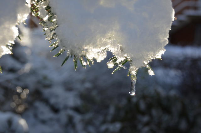 2012-12-02-11-26-58