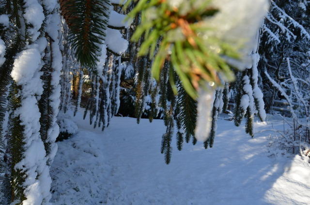 2012-12-02-11-28-40