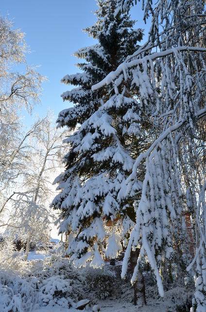 2012-12-02-11-29-40