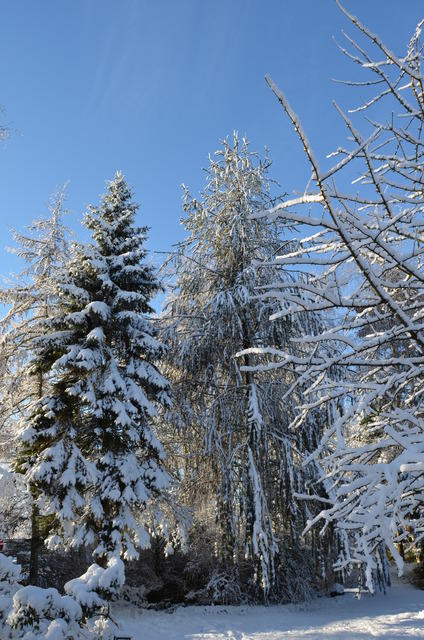 2012-12-02-11-30-02