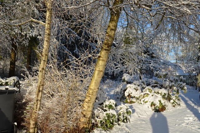2012-12-02-11-30-27