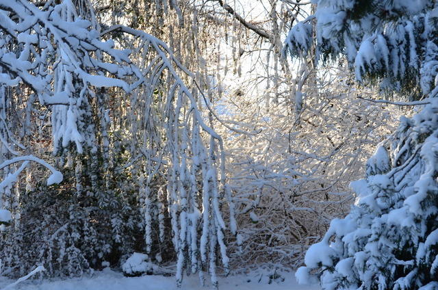 2012-12-02-11-33-59