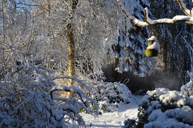 2012-12-02-11-37-22