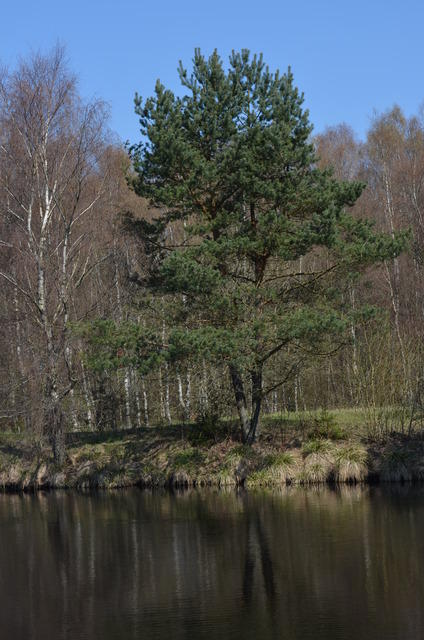 2014-04-19-12-51-10