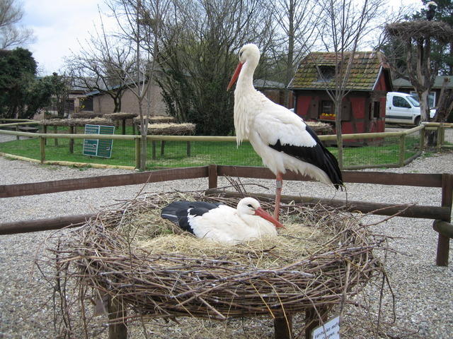 06-04-09-0110