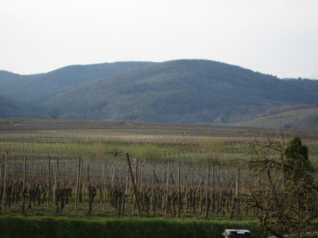 06-04-11-0044