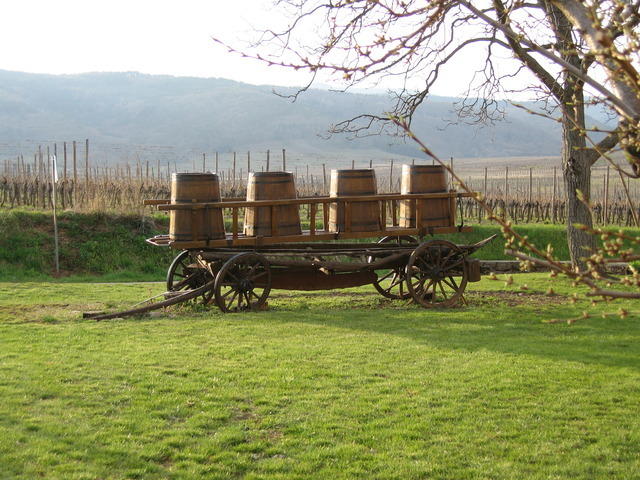 06-04-11-0045