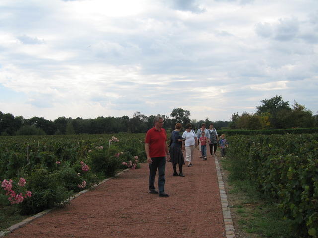 img 0026