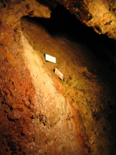 img 0044