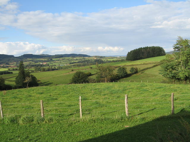 img 0048
