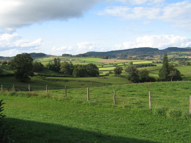 img 0049