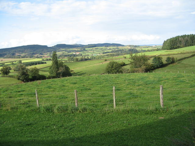 img 0050