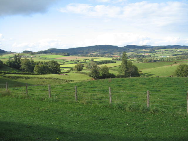 img 0051