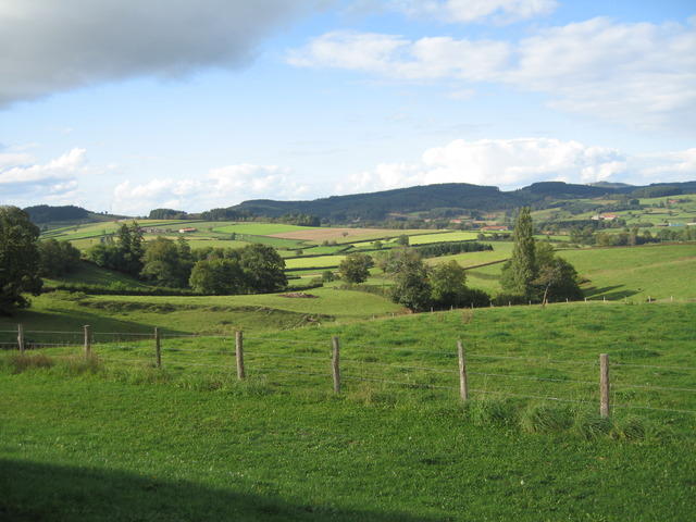 img 0052