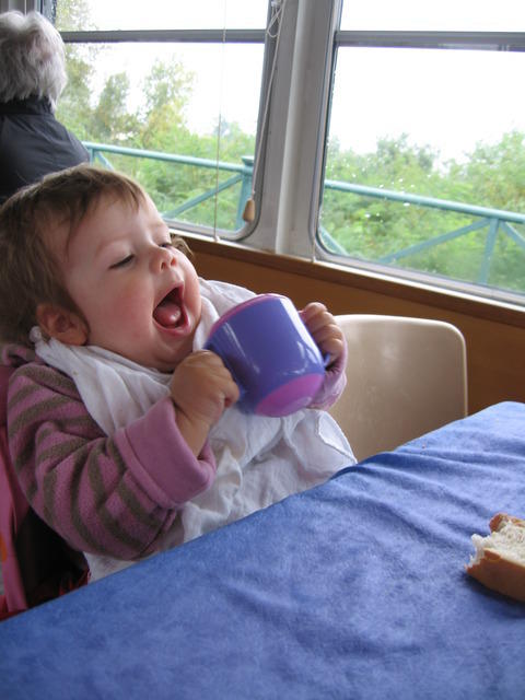 img 0060