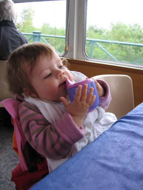 img 0061