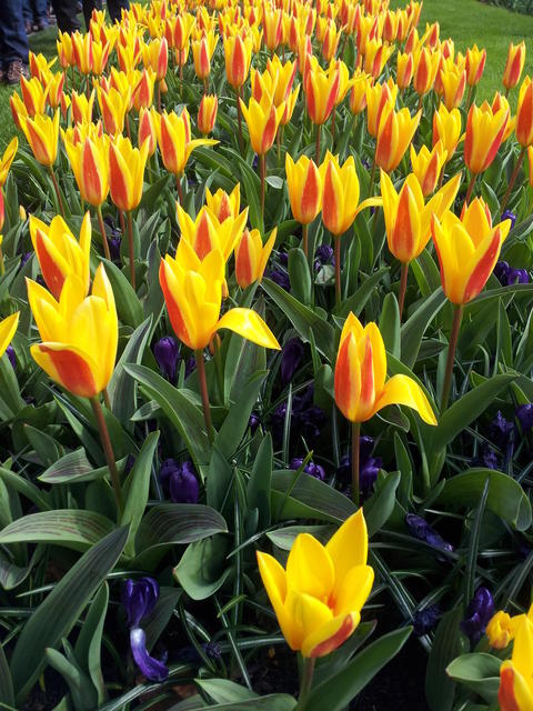 20130420 104753