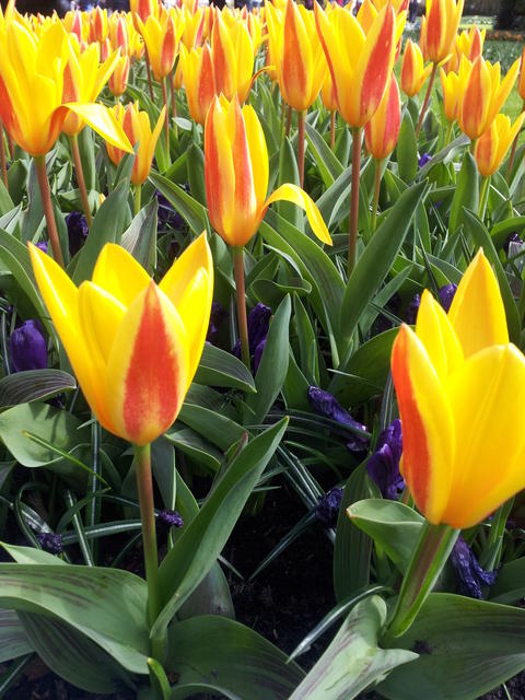 20130420 104806