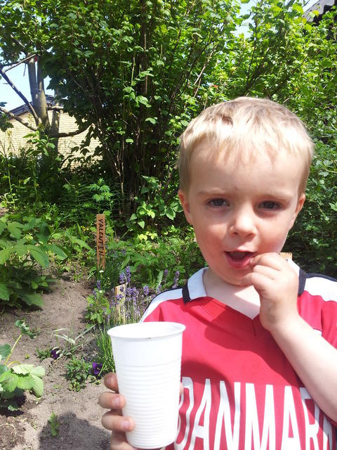 2012-06-15-15-25-37