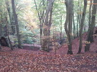 2012-10-20-15-27-23