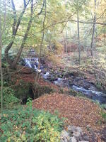 2012-10-20-15-41-21