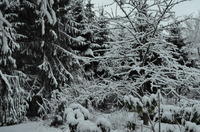 2012-12-02-08-40-16