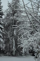 2012-12-02-08-40-41