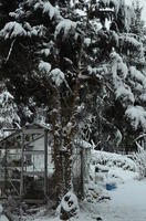 2012-12-02-08-41-27