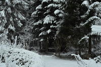 2012-12-02-08-41-45