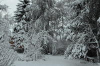 2012-12-02-08-42-06