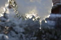 2012-12-02-11-26-58