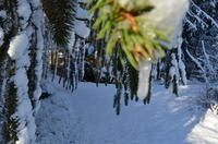 2012-12-02-11-28-40