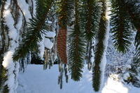 2012-12-02-11-28-53