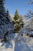 2012-12-02-11-29-14