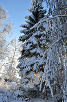 2012-12-02-11-29-40