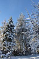 2012-12-02-11-30-02
