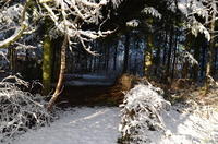 2012-12-02-11-31-07