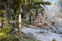 2012-12-02-11-31-16