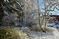 2012-12-02-11-31-30
