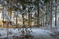 2012-12-02-11-31-43