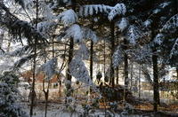 2012-12-02-11-32-00