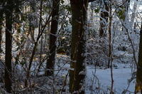 2012-12-02-11-33-01