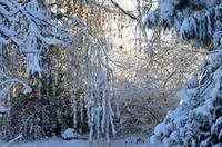 2012-12-02-11-33-59
