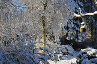 2012-12-02-11-37-18