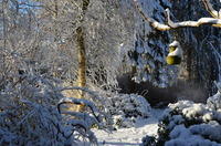 2012-12-02-11-37-22