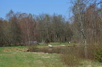 2014-04-19-12-45-57