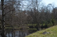 2014-04-19-12-46-06