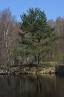 2014-04-19-12-51-10