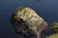 2014-04-19-12-52-35